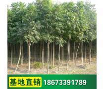 【豪杰紅木紅木荷花鎮紙筆筒筆洗三件套紅木商務禮品紅木筆筒筆洗鎮紙】海門市豪祥紅木工藝品廠 - 產品庫